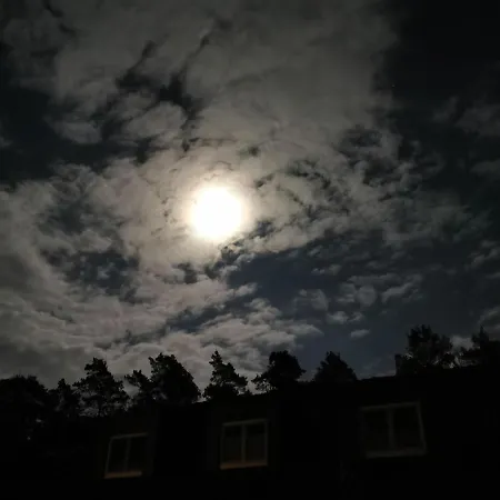 Duck-dich-suedheide *