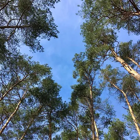 Duck-dich-suedheide شقة