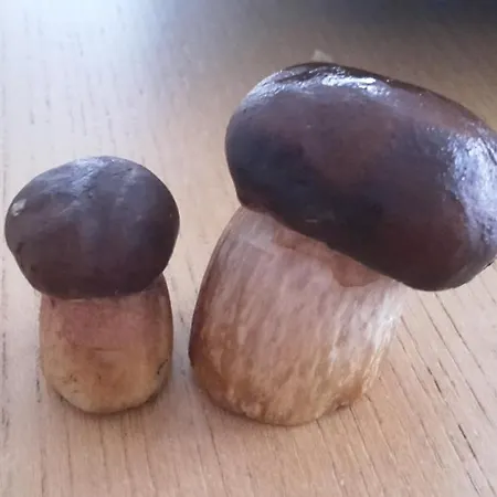 Duck-dich-südheide