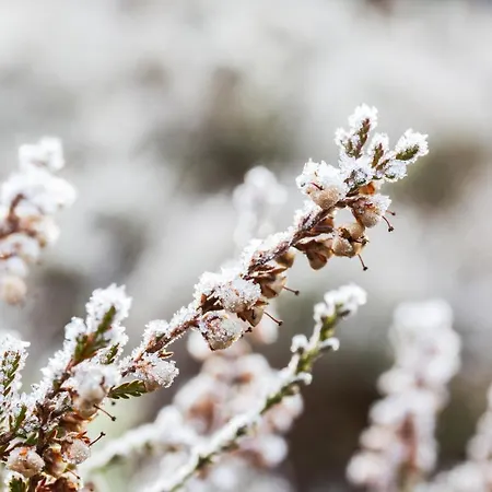 شقة Duck-dich-suedheide