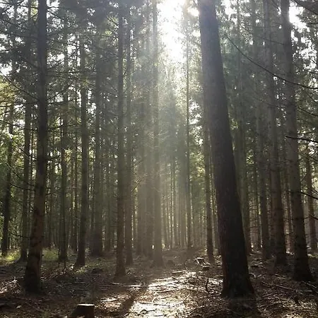 شقة Duck-dich-suedheide هيرمانسبرغ