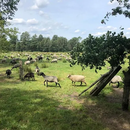 Apartamento Duck-dich-südheide Hermannsburg