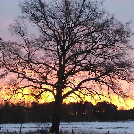 Duck-dich-suedheide *