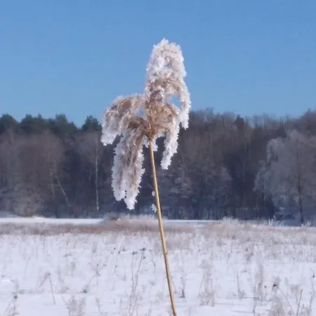شقة Duck-dich-suedheide *