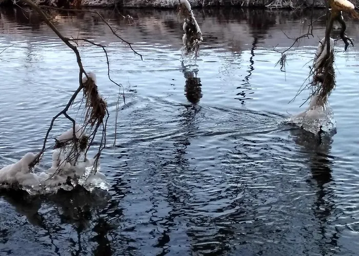 Duck-dich-suedheide Διαμέρισμα Hermannsburg