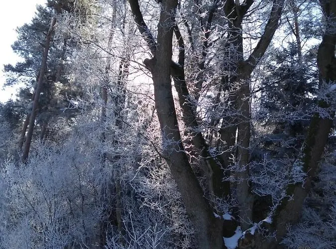 Duck-dich-suedheide Διαμέρισμα *